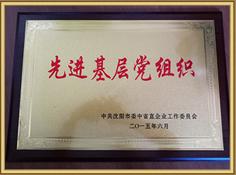 2015先进基层党组织
