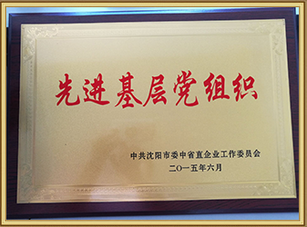 2015先进基层党组织