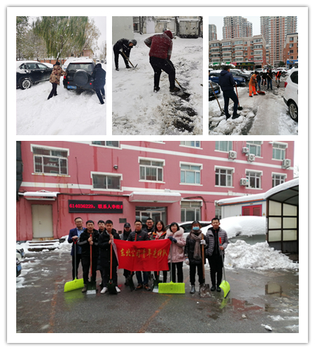 “风雪筑堡垒，除雪暖人心” 东北公司党委组织开展除雪铲冰行动