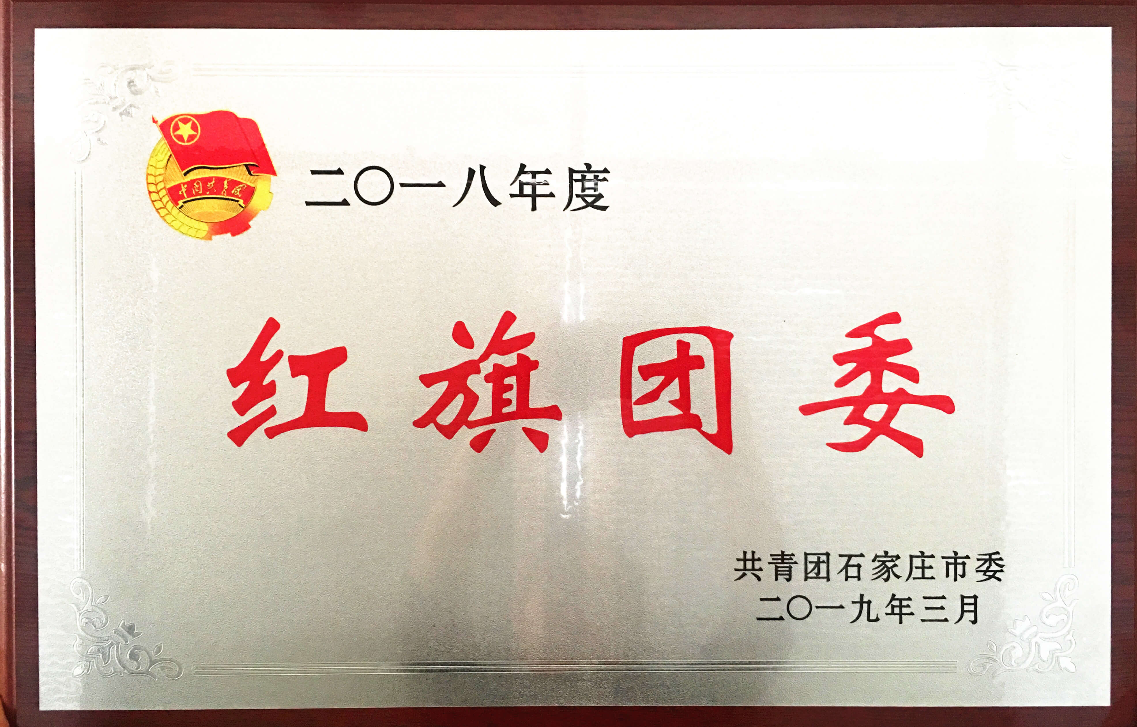 2018年度红旗团委
