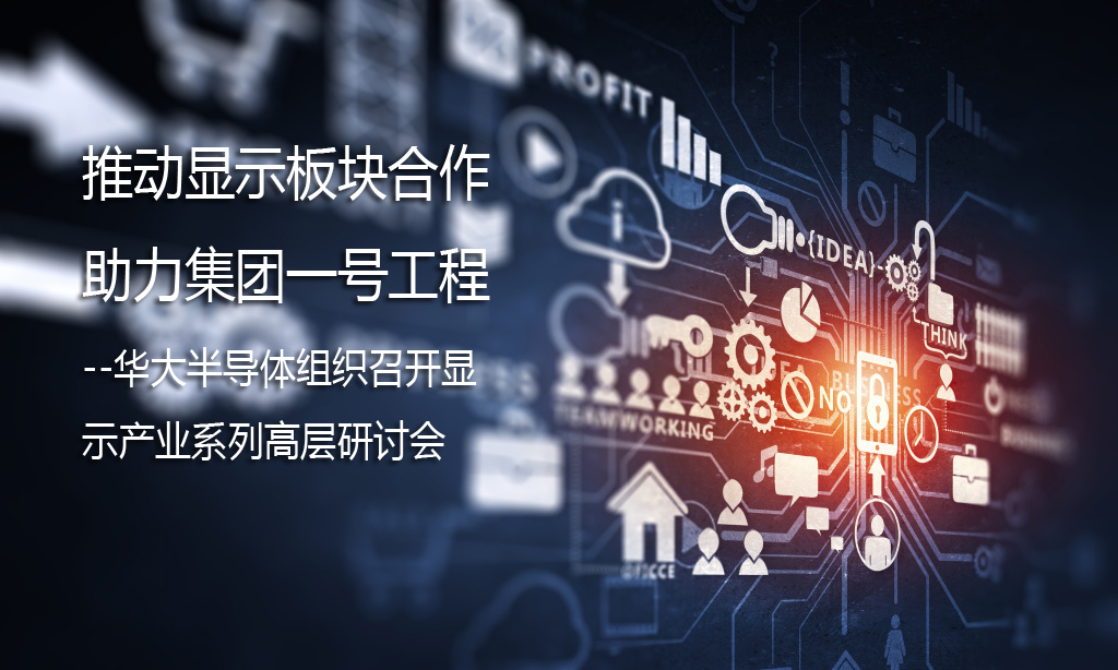 推动显示板块合作,助力集团一号工程 --华大半导体组织召开显示产业系列高层研讨会
