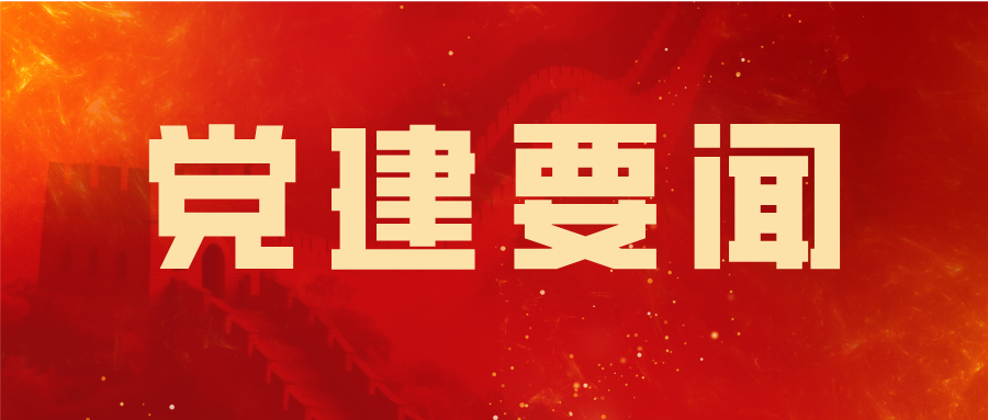 中电建设召开2026年第2次党委理论学习 中心组学习会