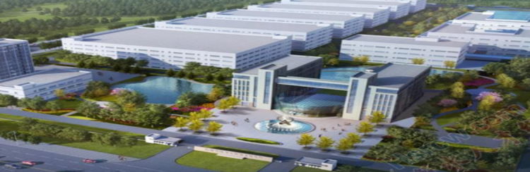 万洋衡水制药有限公司药物研发及产业化项目