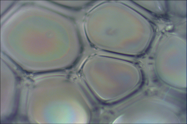 硬质聚氨酯洁净彩钢板性能介绍