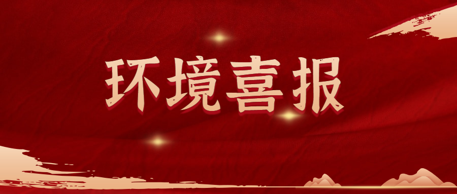 环境喜报 | 除氟剂发明专利10个月快速授权