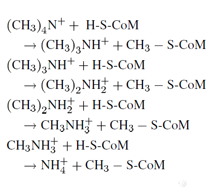 Bio-UiSA TMAH废液处理技术