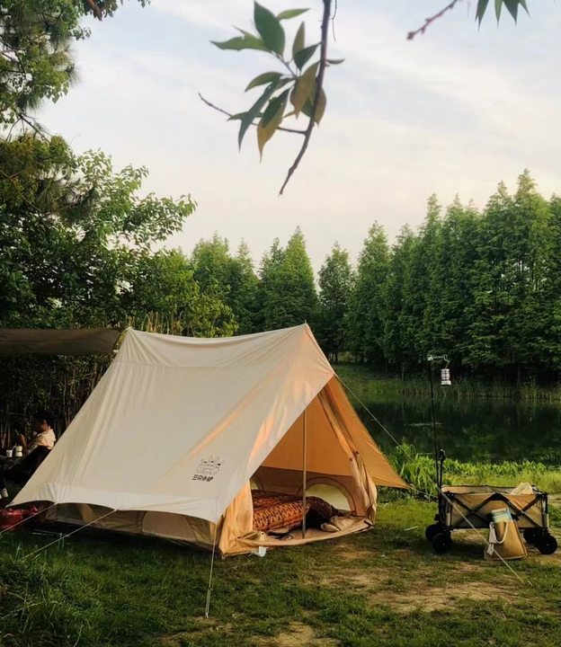 夏日时光｜炎暑将至万物长，阳光明媚且张扬