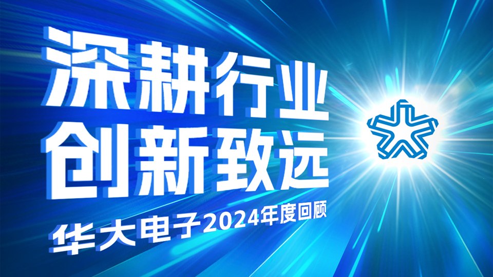 深耕行業,創新致遠 | 華大電子2024年度回顧