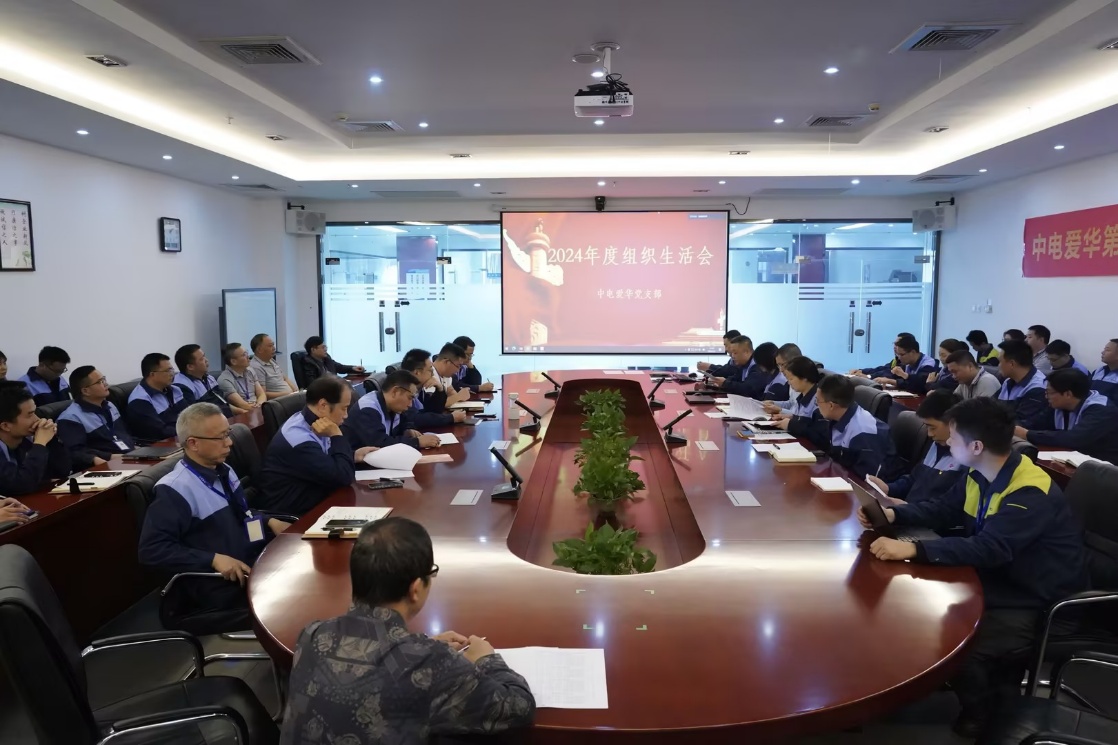 中电爱华党支部召开2024年度组织生活会