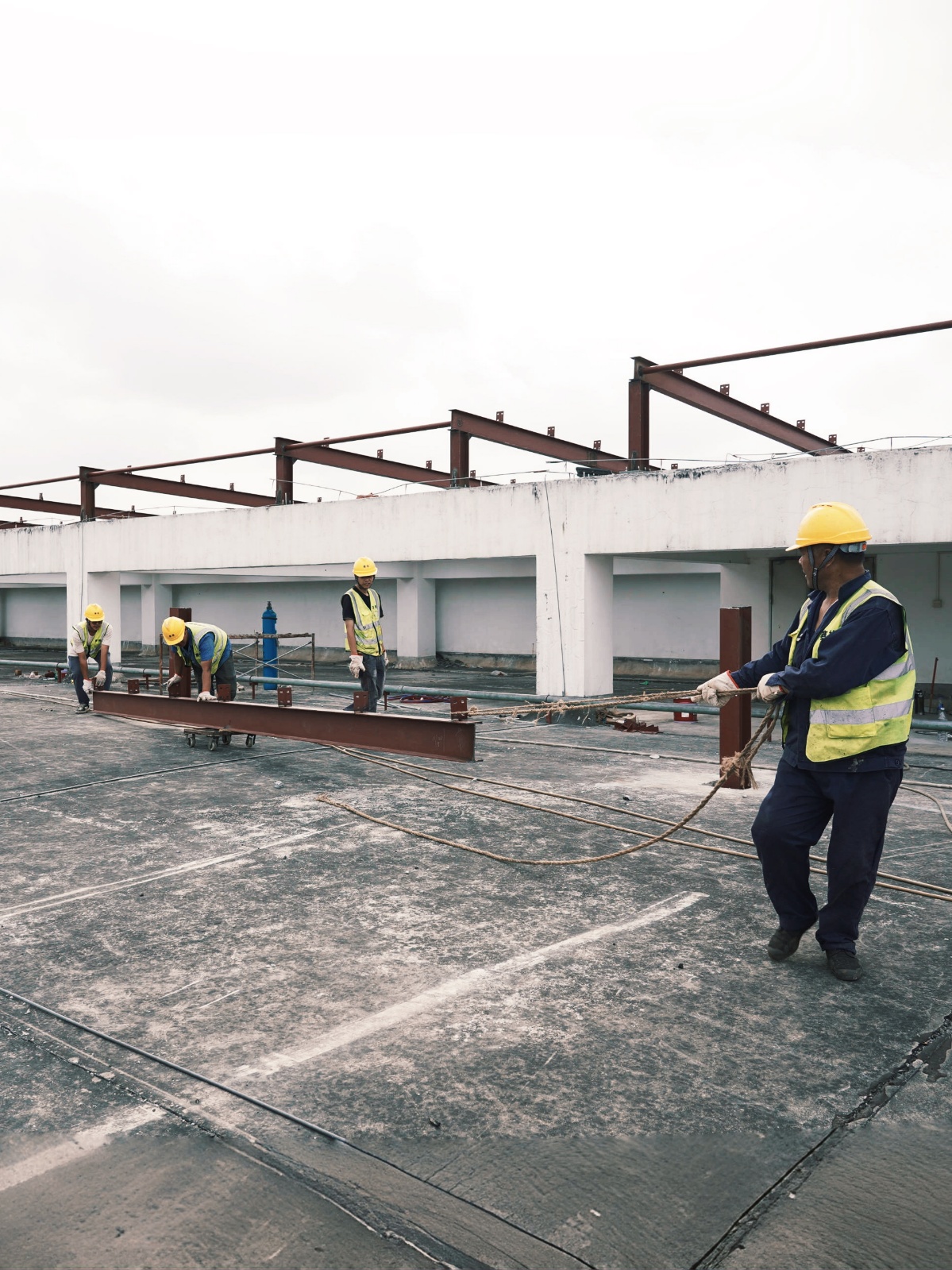 五一特辑 | 以劳动之光照亮奋斗之路