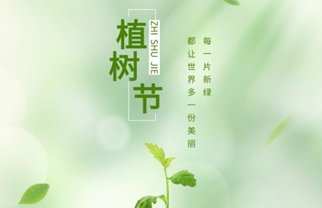 植树节丨为这个春天种下一片新绿