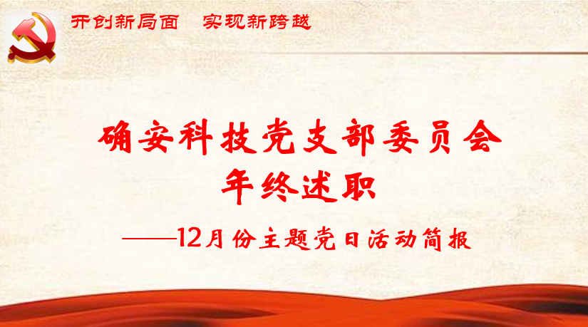 确安科技党支部委员会年终述职