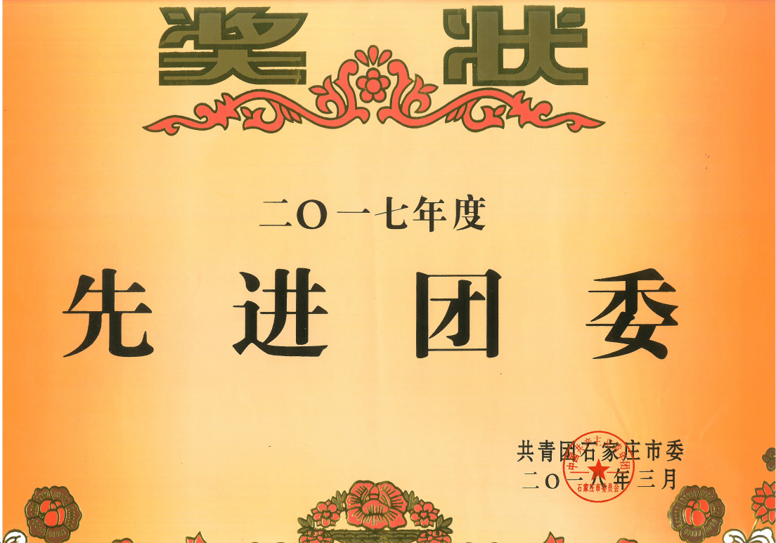2017年度先进团委