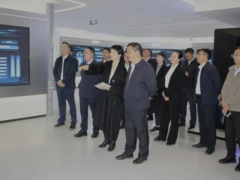 云南省大理州委书记杨国宗调研中国电子（郑州）数据创新中心