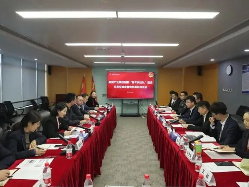 数据产业集团团委召开“青年突击队”建设分享交流会暨青年工作调研座谈会