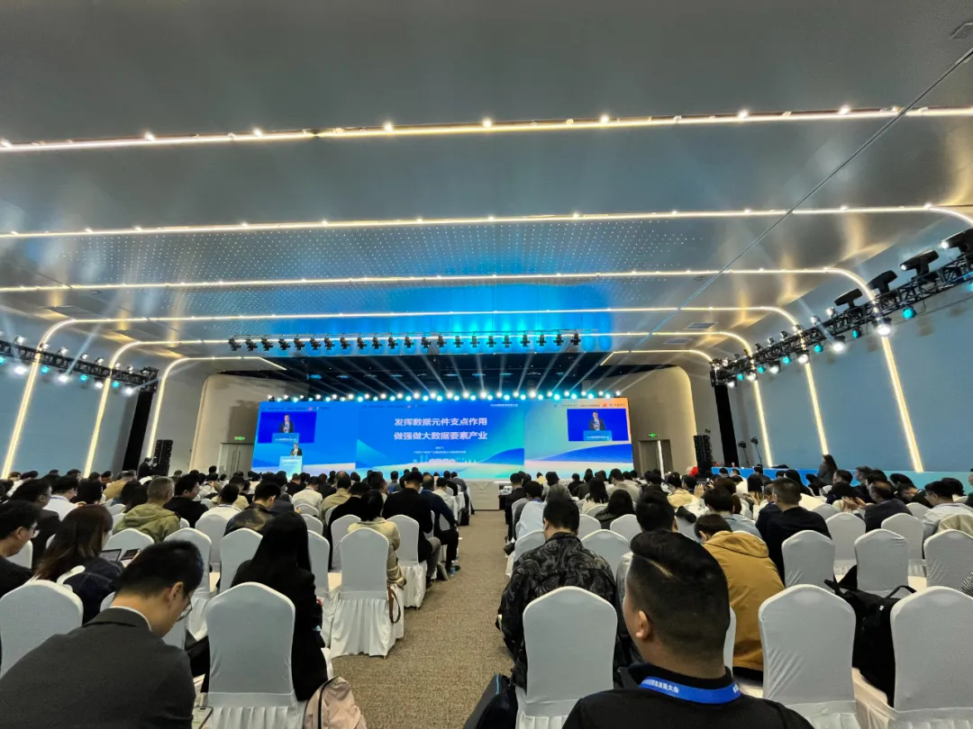 2024数据要素发展大会|蒋国飞：发挥数据元件支点作用 做强做大数据要素产业