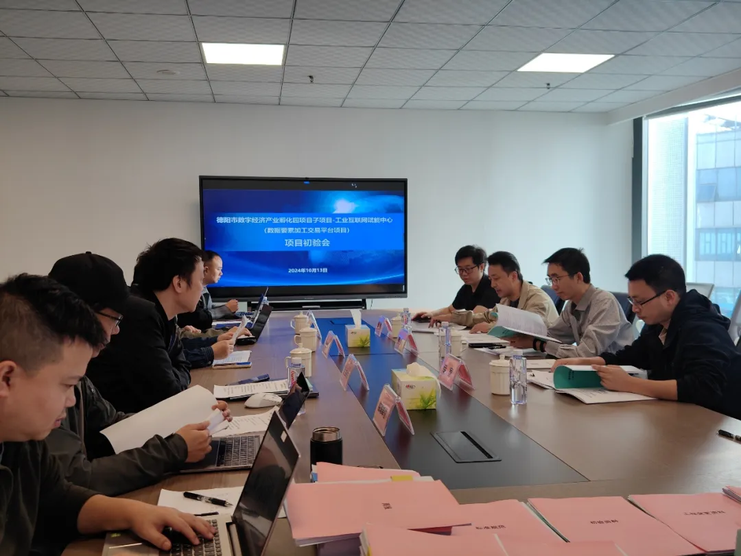 德阳数据要素加工交易平台通过初验