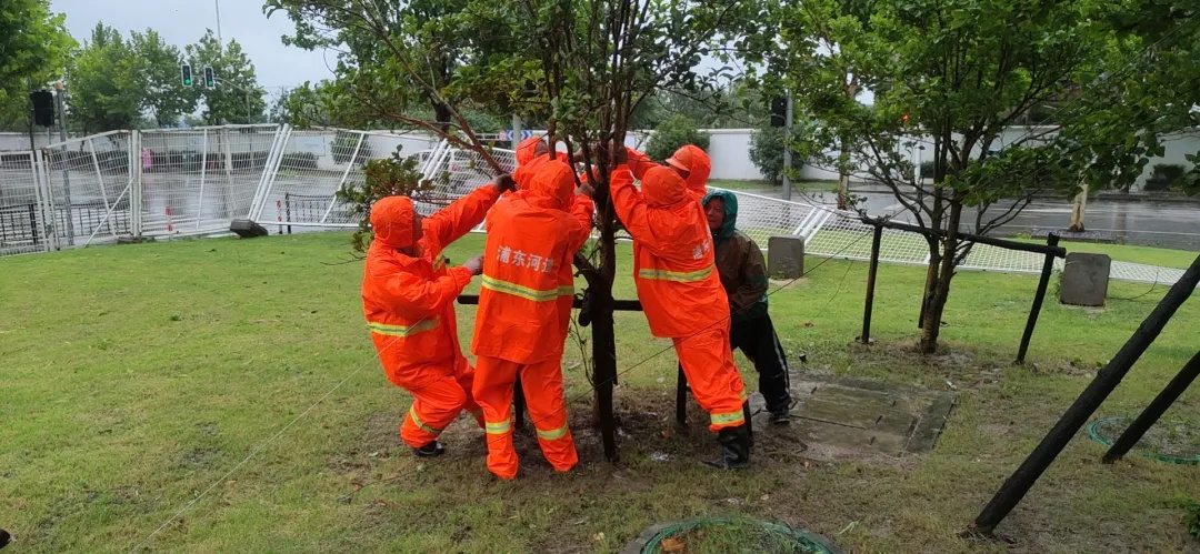 “烟花”来袭，共同守“沪” ｜上海浦东软件园在行动！