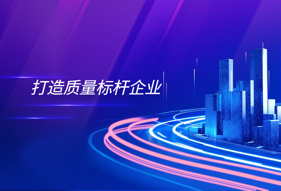 园区企业达观数据荣获上海市“质量标杆”称号