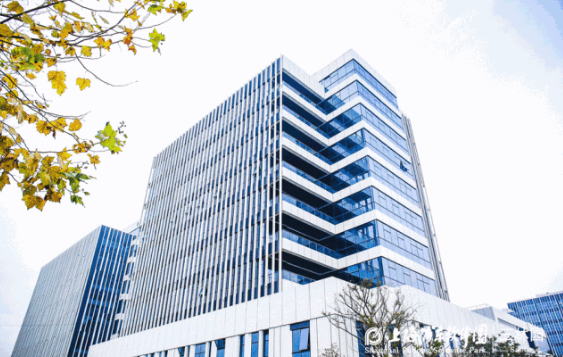 浦软三林园正式开园！