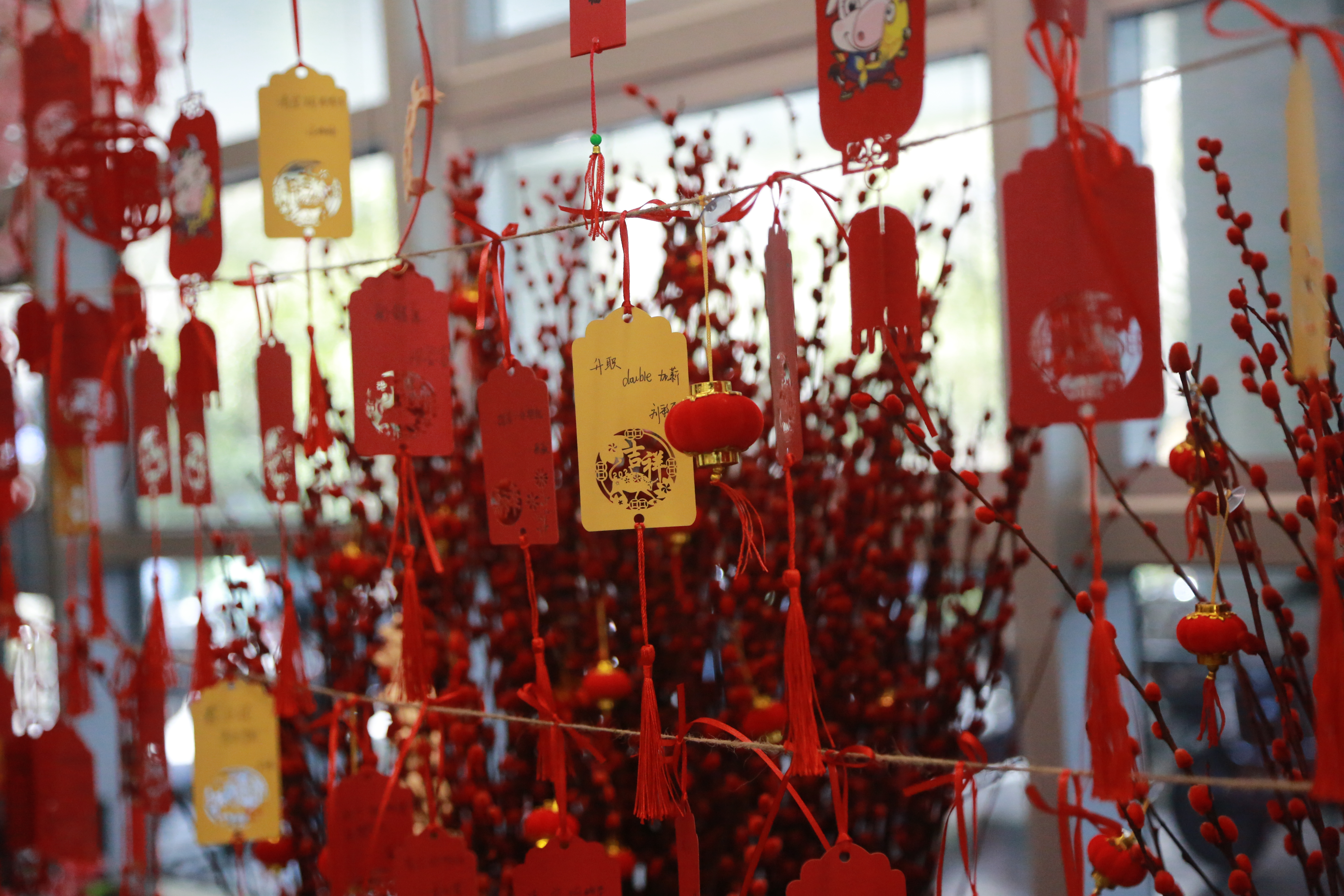 2021，扬帆起航 ！园区企业正式开工