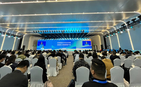 2024数据要素发展大会|蒋国飞：发挥数据元件支点作用 做强做大数据要素产业