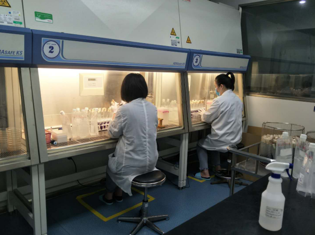 张铁强调研广科环境检测项目