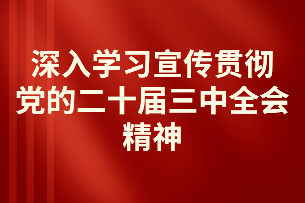 凝心聚力担使命，奋楫扬帆新征程——广纺党委委员、广纺纪委书记汪朝红宣讲党的二十届三中全会精神