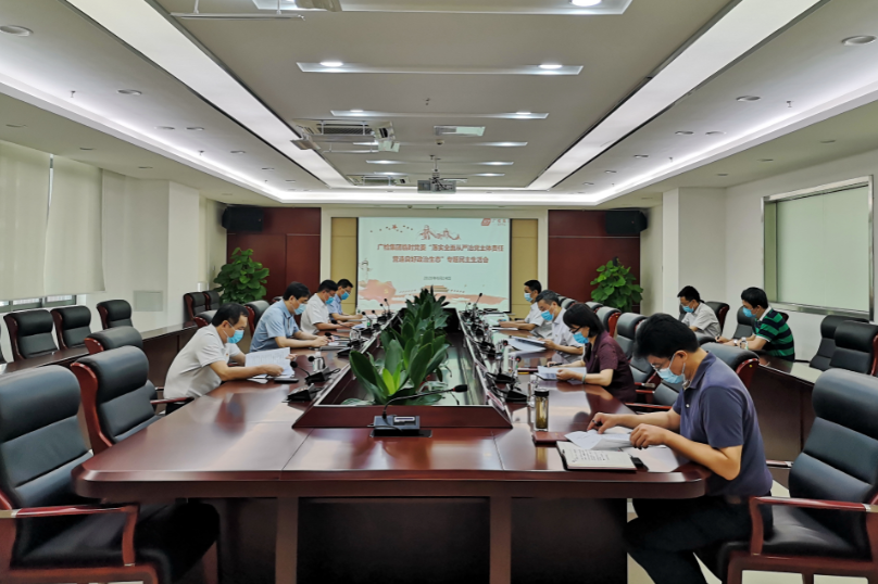 广检集团临时党委召开“落实全面从严治党主体责任 营造良好政治生态”专题民主生活会