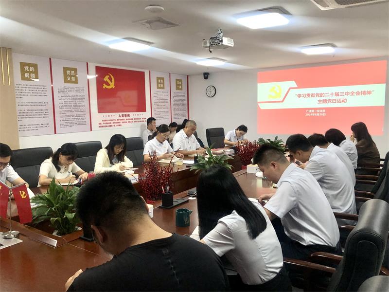 广检工程检测中心第一党支部开展“学习贯彻党的二十届三中全会精神”主题党日暨支部书记讲党课活动