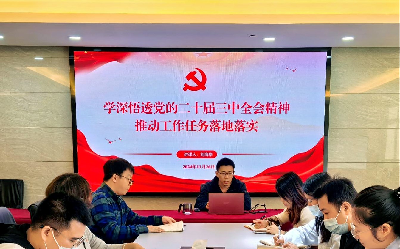 学深悟透党的二十届三中全会精神 推动工作任务落实落地——穗粮公司党支部开展学习贯彻党的二十届三中全会精神专题党课