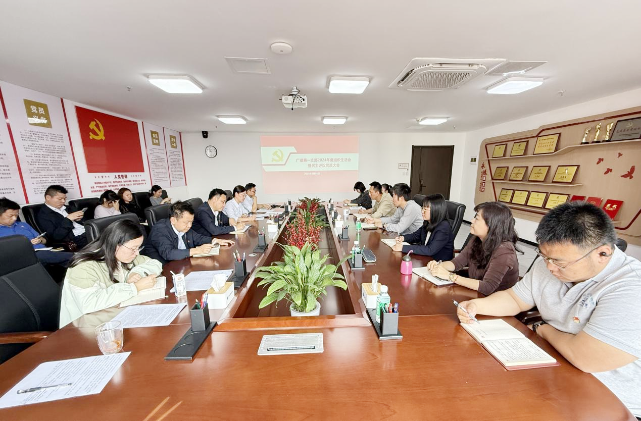 广检工程检测中心召开2024年度组织生活会暨民主评议党员大会