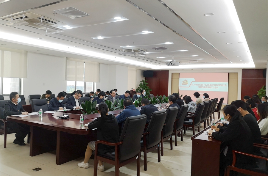 广检集团党委召开2020年度党组织书记抓基层党建述职评议会暨第四季度党建工作会议20201225