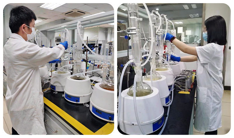 党建领航促发展 凝心聚力保任务—辛苦了，为食品安全奔赴的广质夜行人！