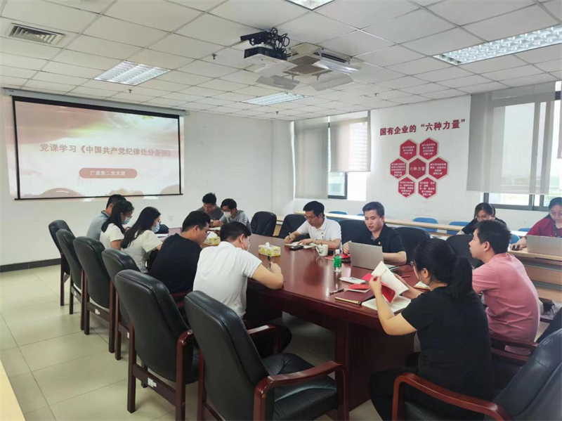 聚焦新修订的《中国共产党纪律处分条例》 —广质第二党支部开展专题党课