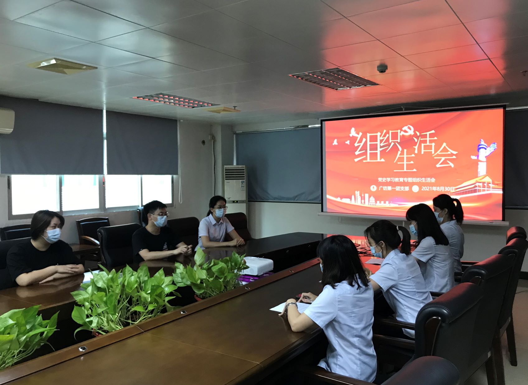 广检集团广纺第一团支部召开党史学习教育专题组织生活会