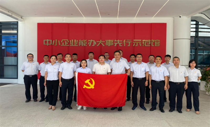 坚持党建引领 苦修“内功”护航高质量发展 ——建管公司第一党支部扎实推进“党建+内控建设与业务提升”攻关项目