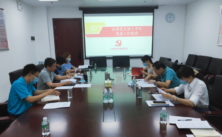广检集团总部党支部接受2020年上半年党建工作检查