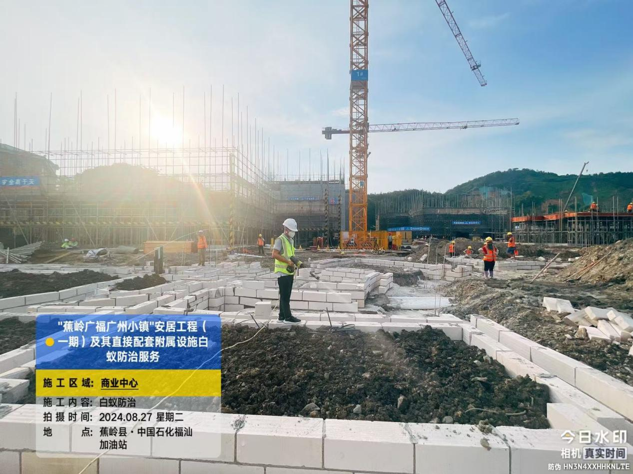 党旗飘扬援灾情 重建家园焕新貌——广州市白蚁防治所服务梅州市“广州小镇”安居工程项目纪实