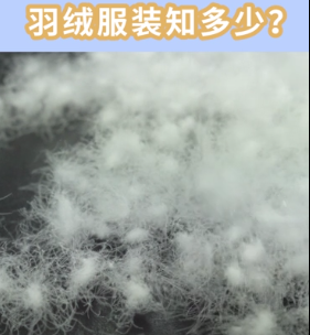 以专业 惠民众——广检集团广纺第一党支部开展羽绒服装知识普及活动