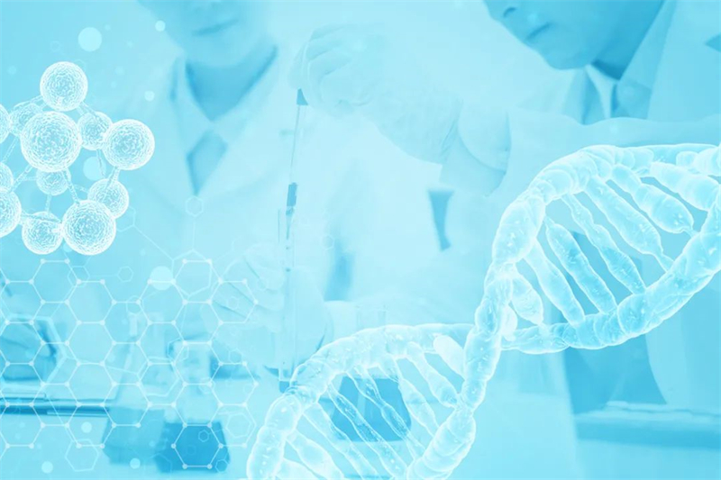 检测上新|建材家具类产品检测上线啦