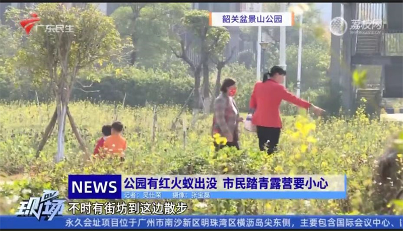 春游遇到红火蚁怎么办？广州市白蚁防治所为您支招