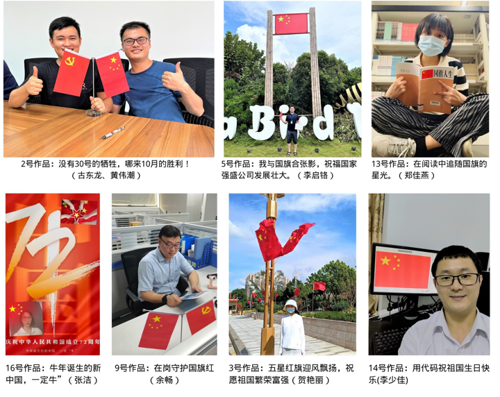 晒热爱 秀祝福 我与国旗合张影——广技公司党支部为祖国母亲庆生