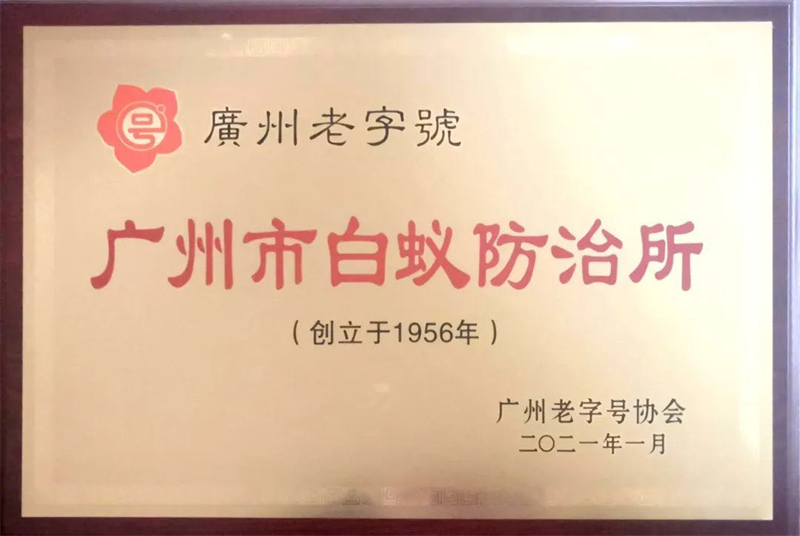 广州市白蚁防治所邀您来投票！