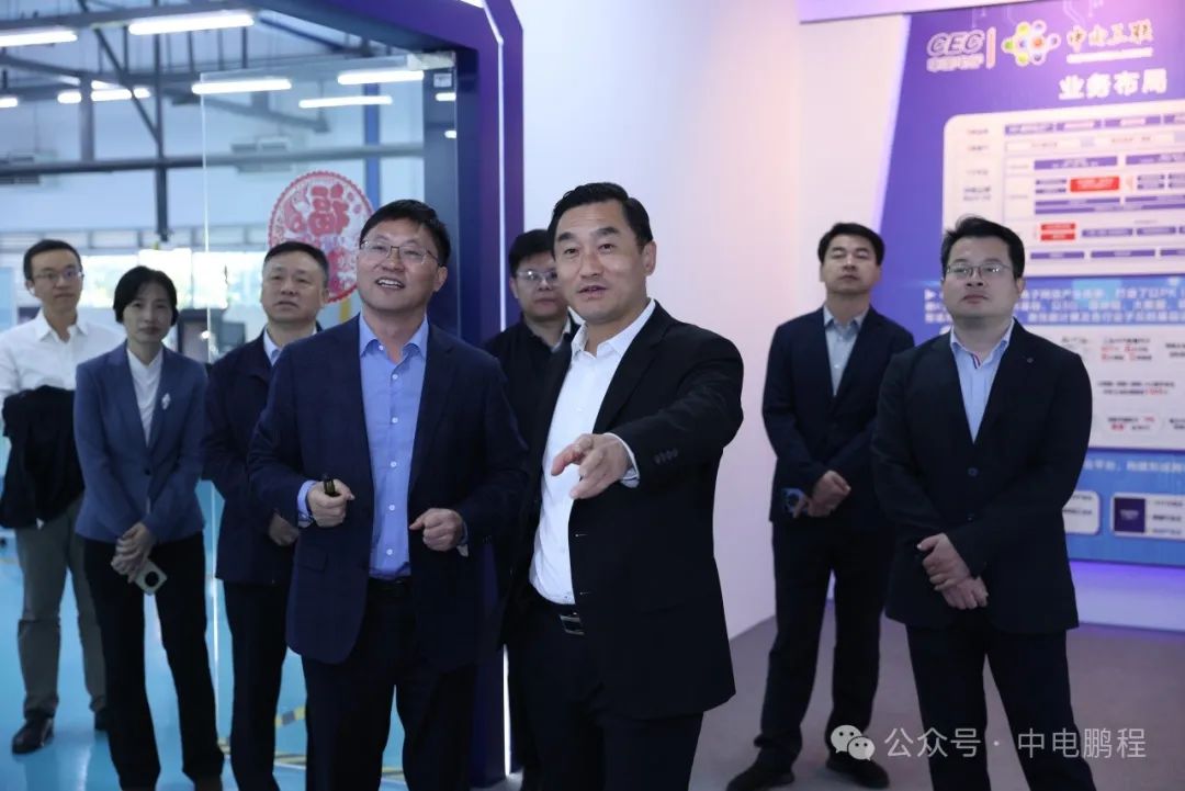 南京市委常委、江宁区委书记林涛调研中电鹏程