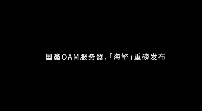 国鑫OAM服务器，【海擎】重磅发布