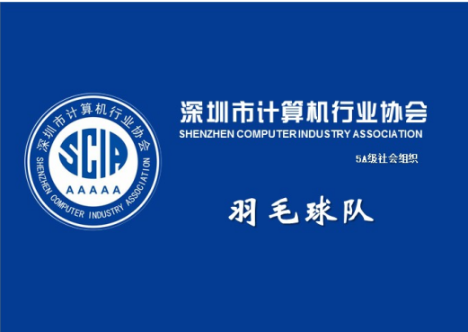 【深计协动态】强身健体 联谊交友 深计协羽毛球队成立了